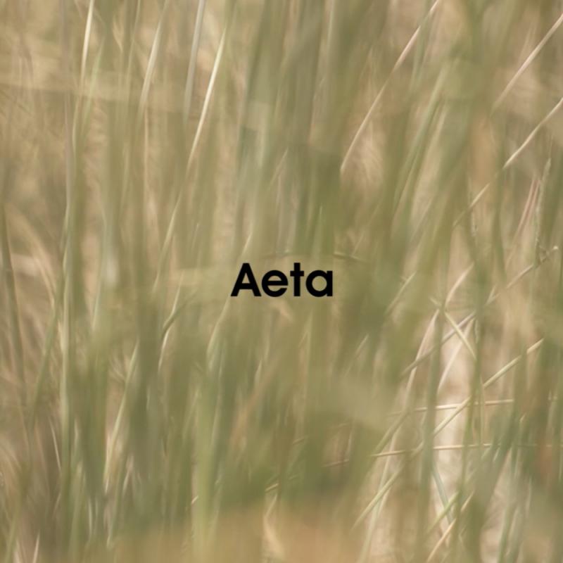 Aeta /新作アイテム入荷 