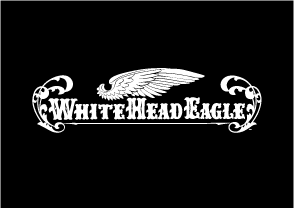 WHITE HEAD EAGLE 