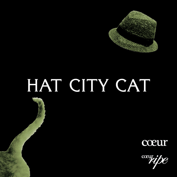 HAT CITY CAT 