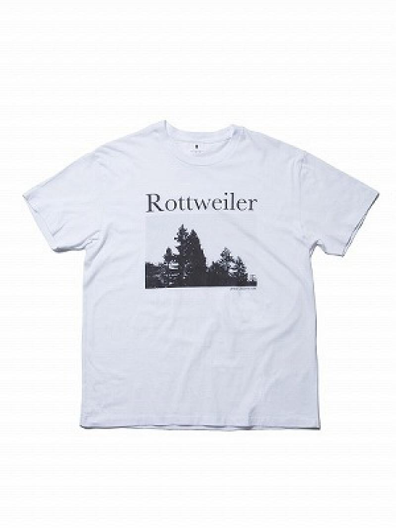 ڿ١ROTTWEILER(åȥ磻顼) 15 AUTUMN&WINTER COLLECTIONSTART!!