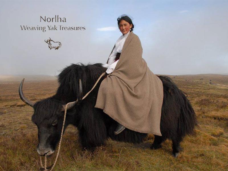 NEW BRANDnorlha