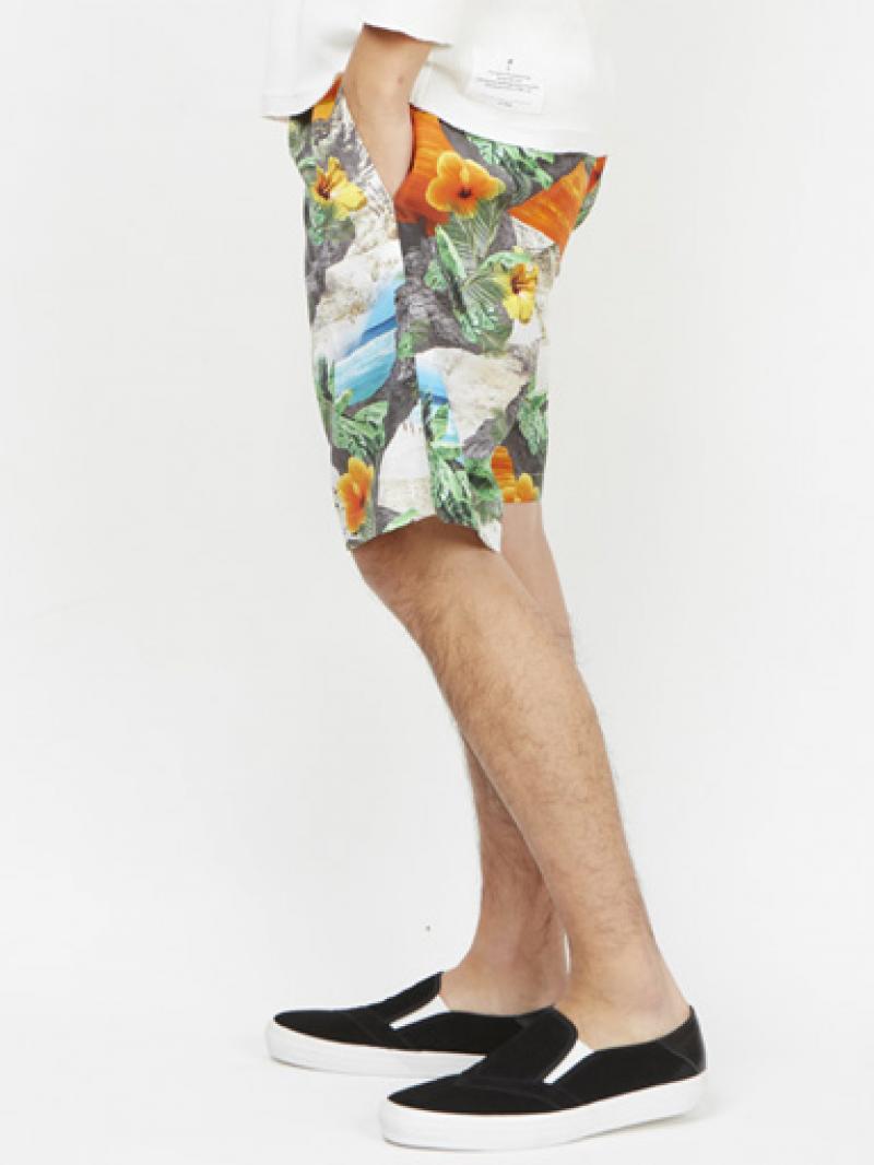 WHIZLIMITED/ALOHA SHORTS