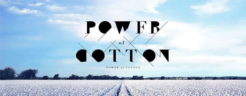 POWER of COTTON