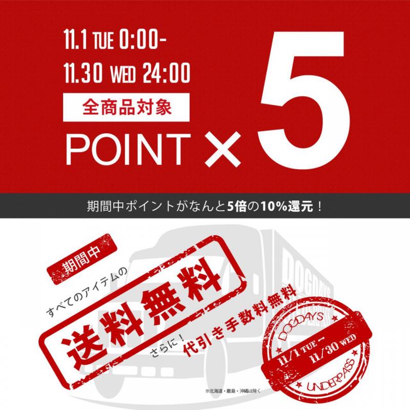 ޯν!Point Up Fair‼ 