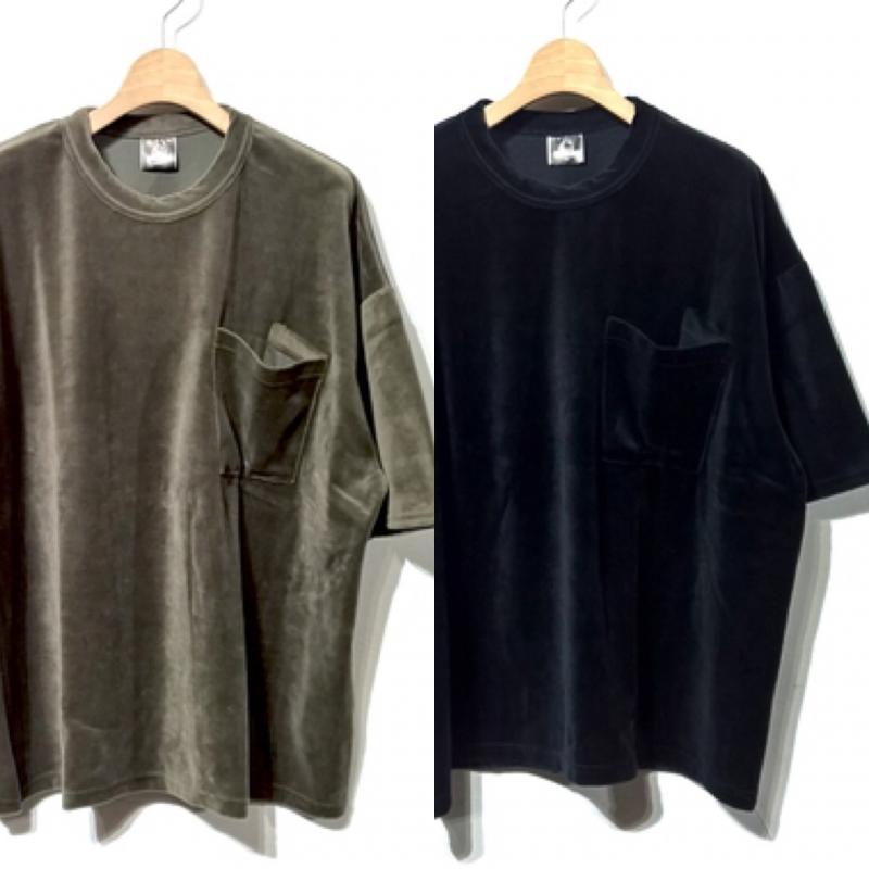Melple/ᥤץ | ٥ӥåTeeColor:꡼֥֡å
