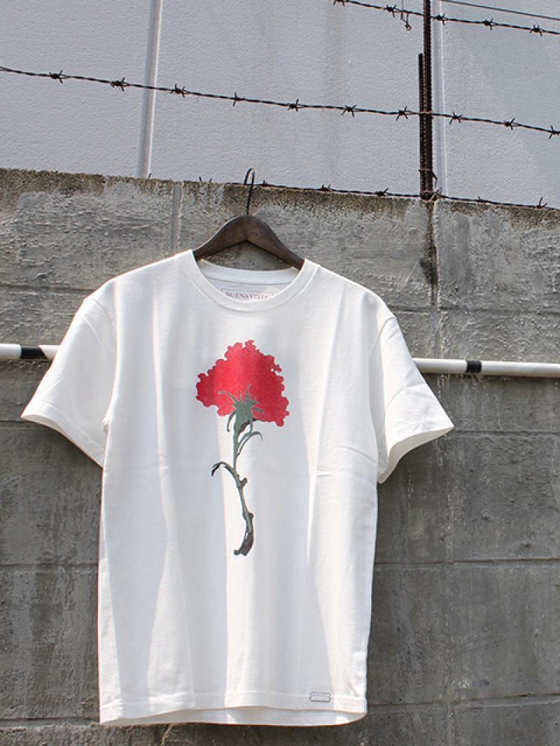5/21() BUENA VISTA  NEW ARRIVAL!!! 