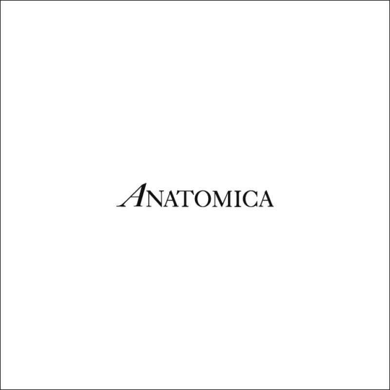  ANATOMICA / ʥȥߥ 2017FW | New Arrival.
