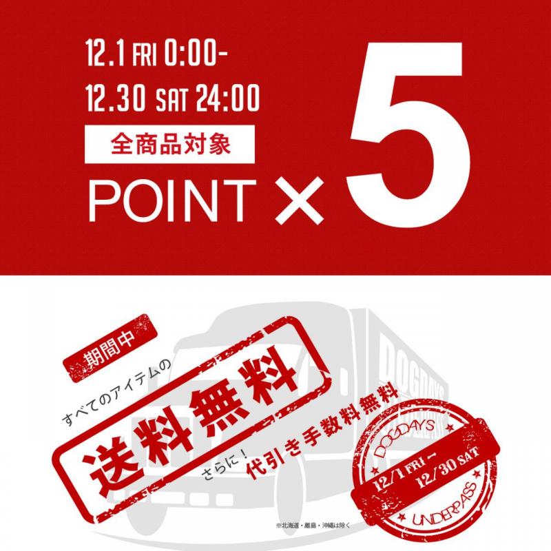  DOGDAYS / UNDERPASS  5 Point Up Fair‼︎