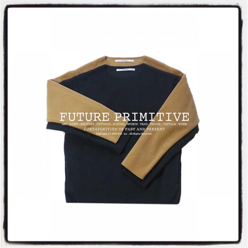 FUTURE PRIMITIVE