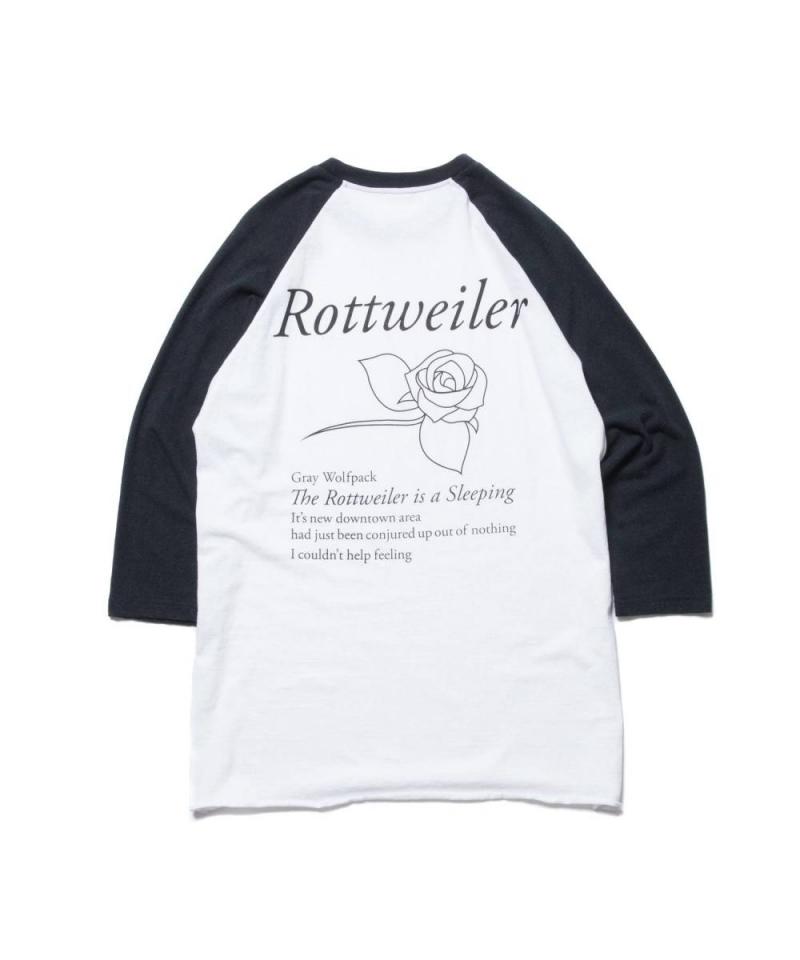 ROTTWEILER 2019 AUTUMN / WINTER !