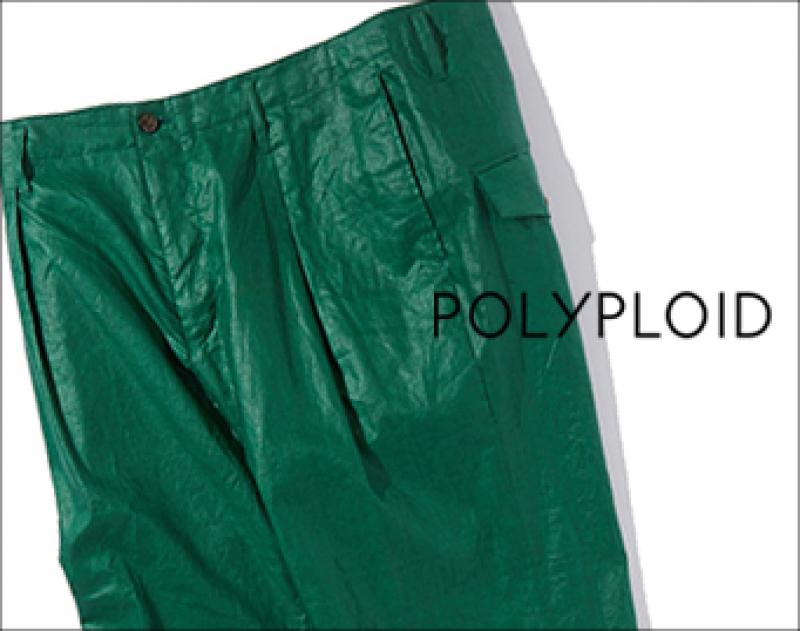 POLYPLOID / ƥ 