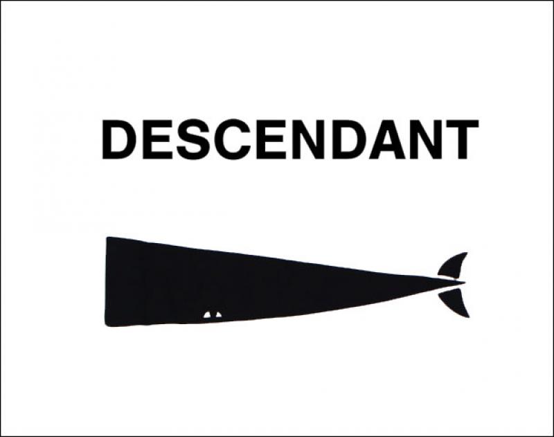 DESCENDANT / ݥåȥƥ 