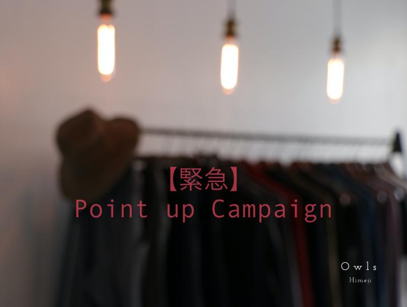 Blog updateBLACK FRIDAY / ڶ۵ޡPOINT UP CAMPAIGN