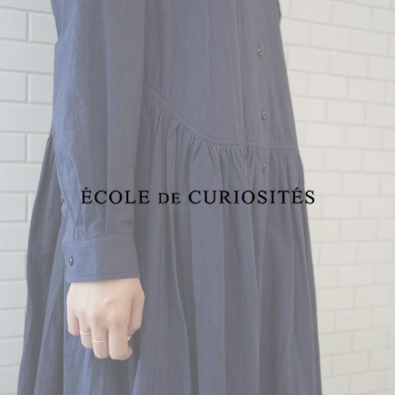 ECOLE DE CURIOSITES ​/ ƥ 