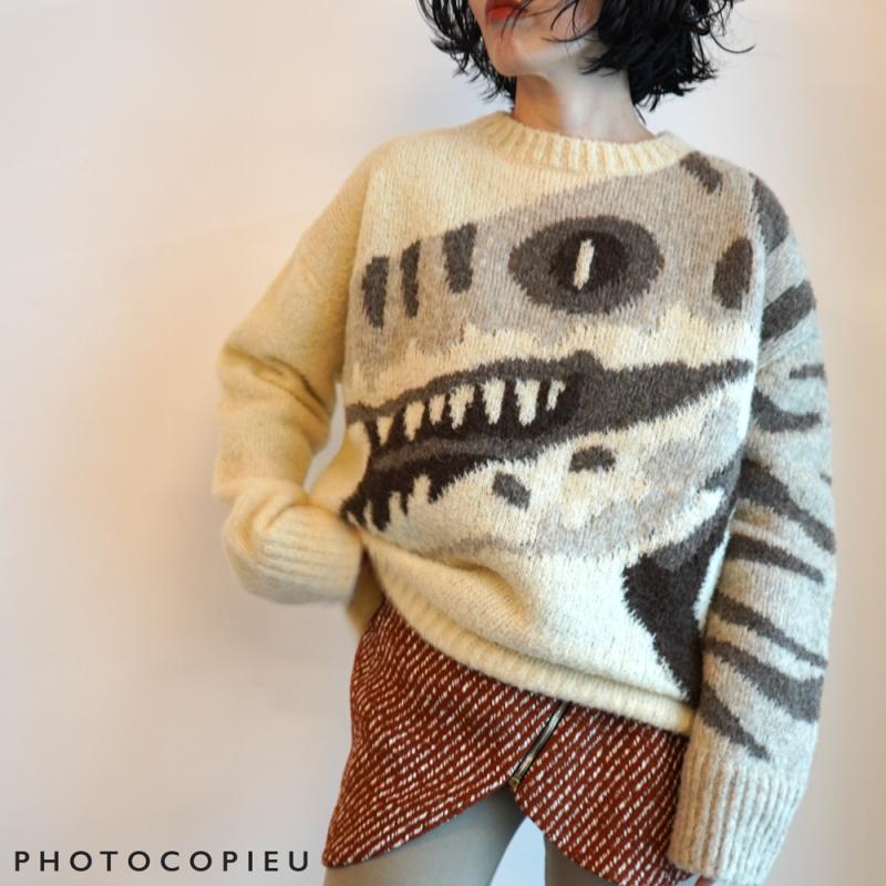 PHOTOCOPIEU ​/ ƥ SAIRANEN DINO SWEATER