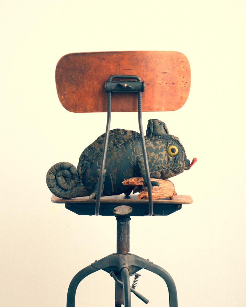 yuya inagawa:CHAMELEON