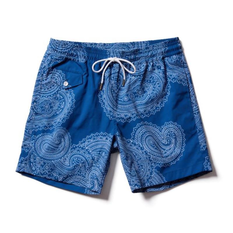 SOFTMACHINE(եȥޥ)GENE SHORTS