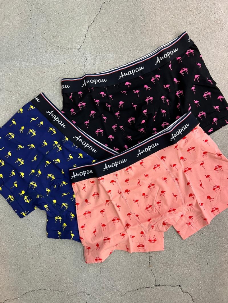 Anapau / �ե�ߥ󥴥ϡ��� ����