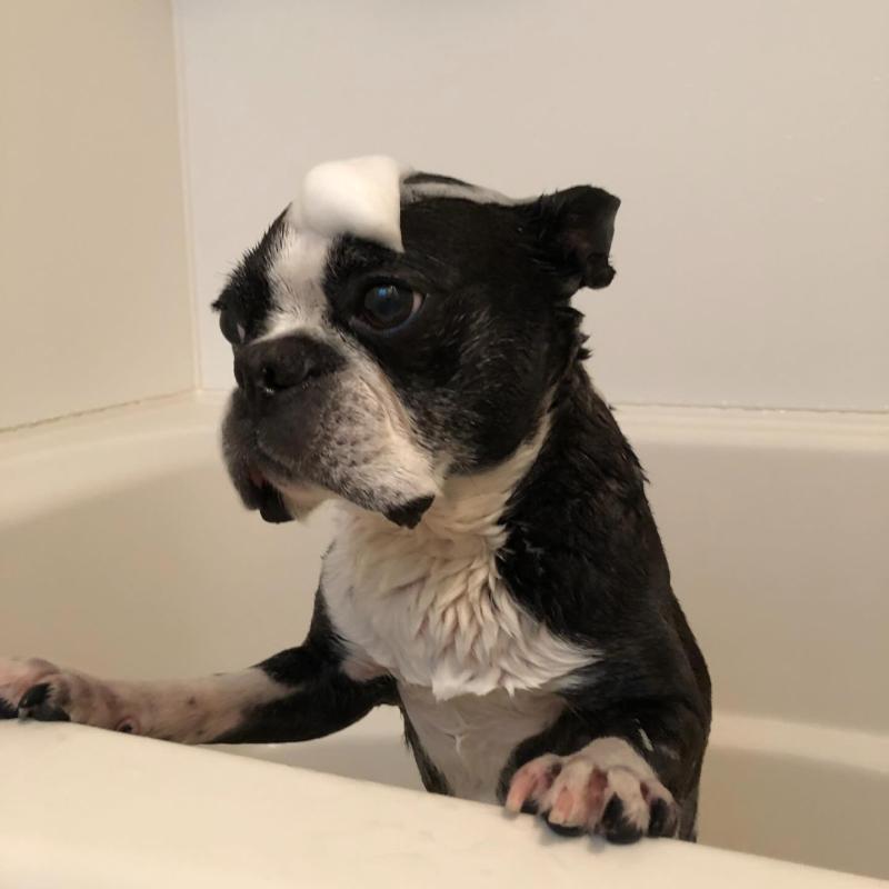 �����ο�������12��〜20�����̾�Ķ�🛁