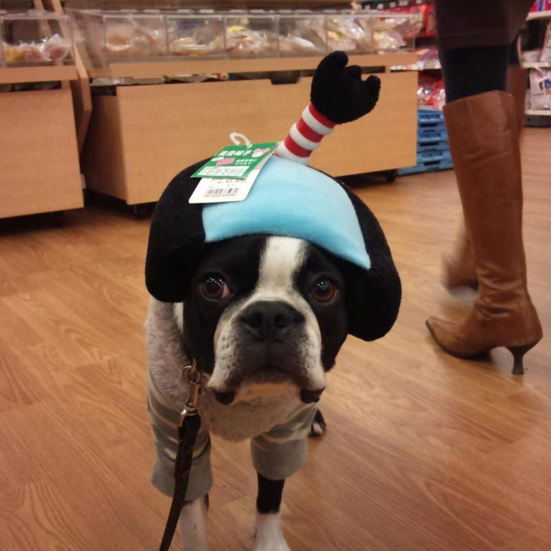 ��ǯ���ǯ���꤬�Ȥ��������ޤ���🙇🏼‍��️