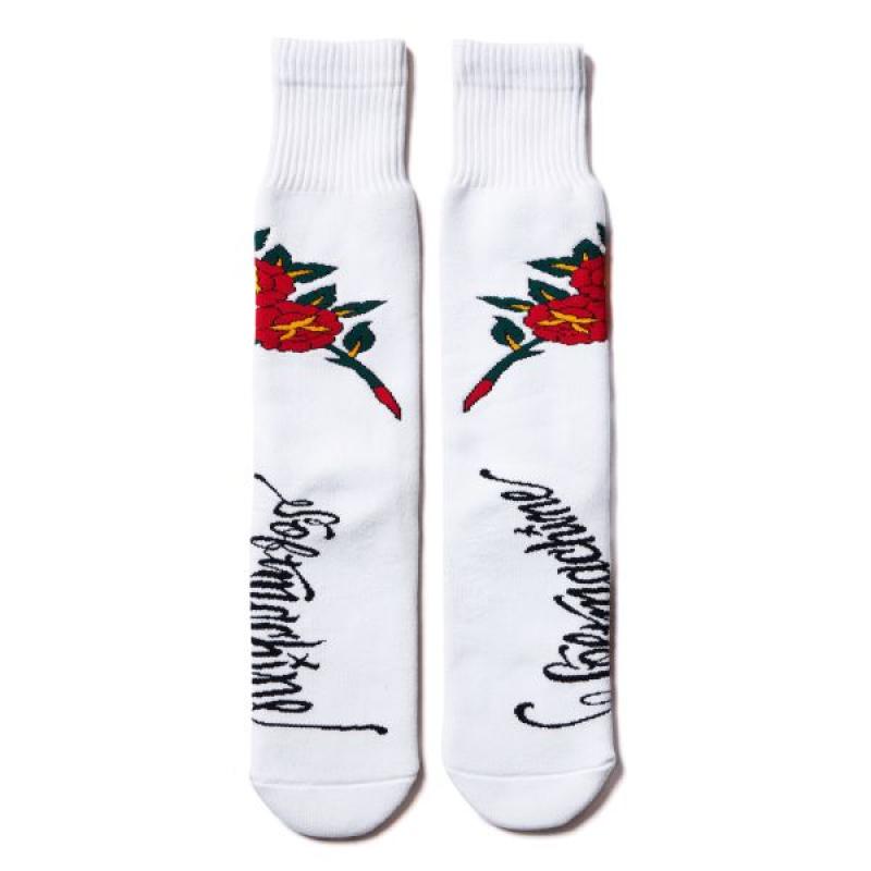 SOFTMACHINE(���եȥޥ�����)����ROSES SOX��������