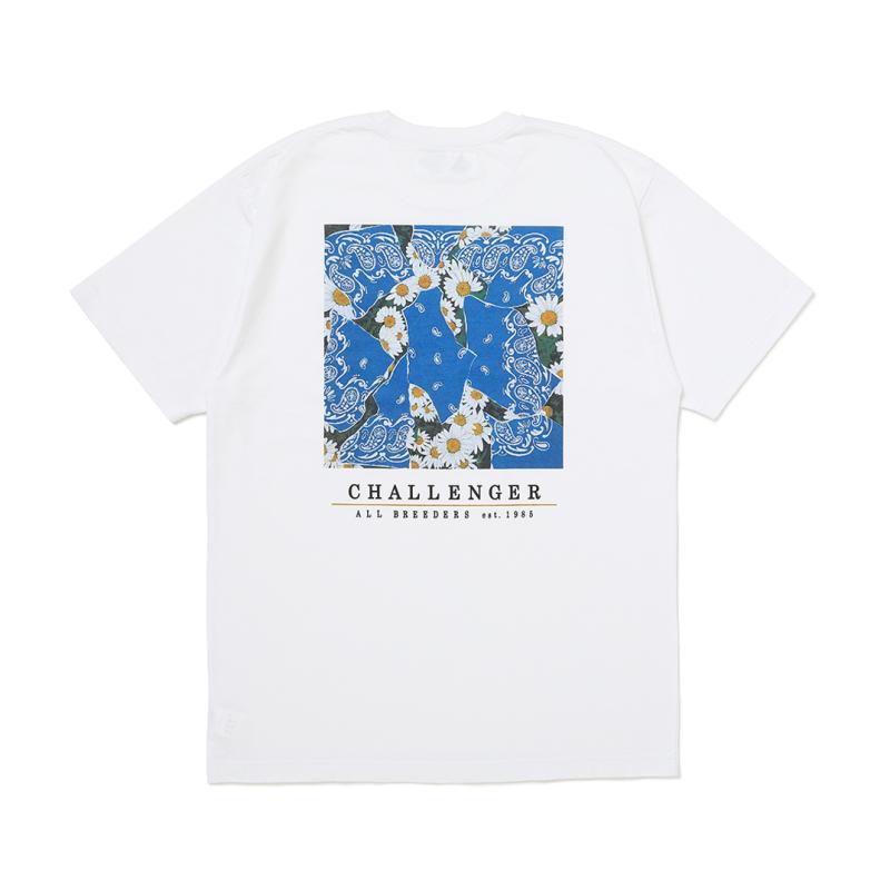 ��2/28ȯ���CHALLENGER �����󥸥㡼 DAISY TEE �ǥ�����T����� CLG-TS 026-004 8,000+tax
