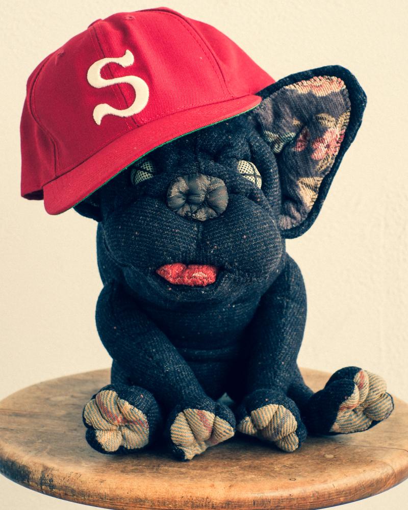 ��yuya inagawa:FRENCH-BULLDOG��