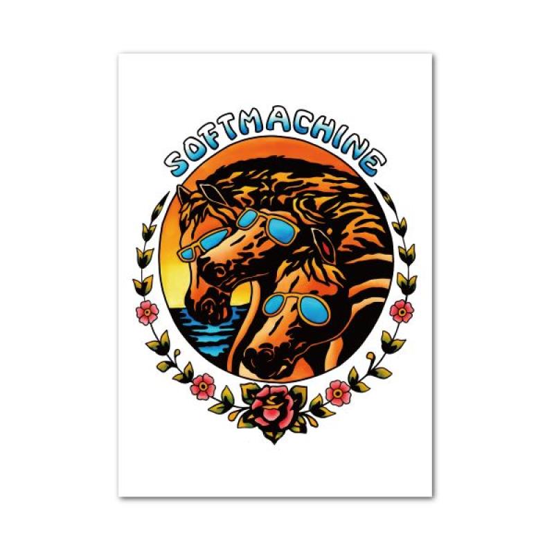 SOFTMACHINE(���եȥޥ�����)����SUNSET POSTER��������