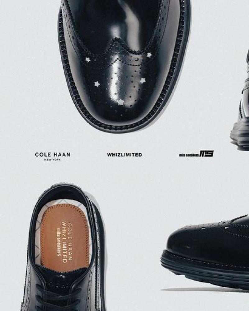 COLE HAAN CH X WHIZ LMTD X MITA OG JUDSON WINGTIP ��ȯ��Ǥ���